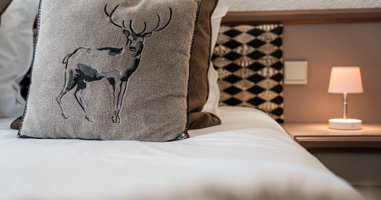 Hôtel Le Christiania � Alpesphotographies.com-145